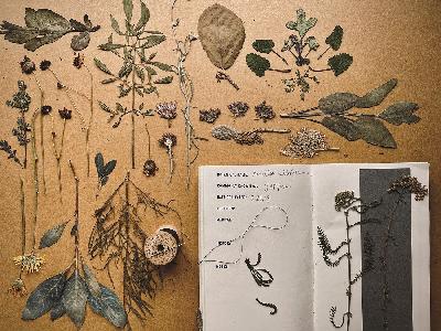 [activity-picture]