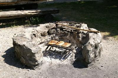 [activity-picture]