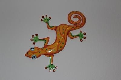[activity-picture]