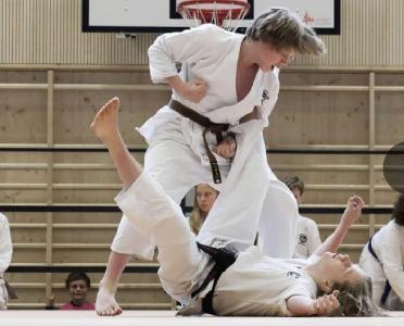 [activity-picture]